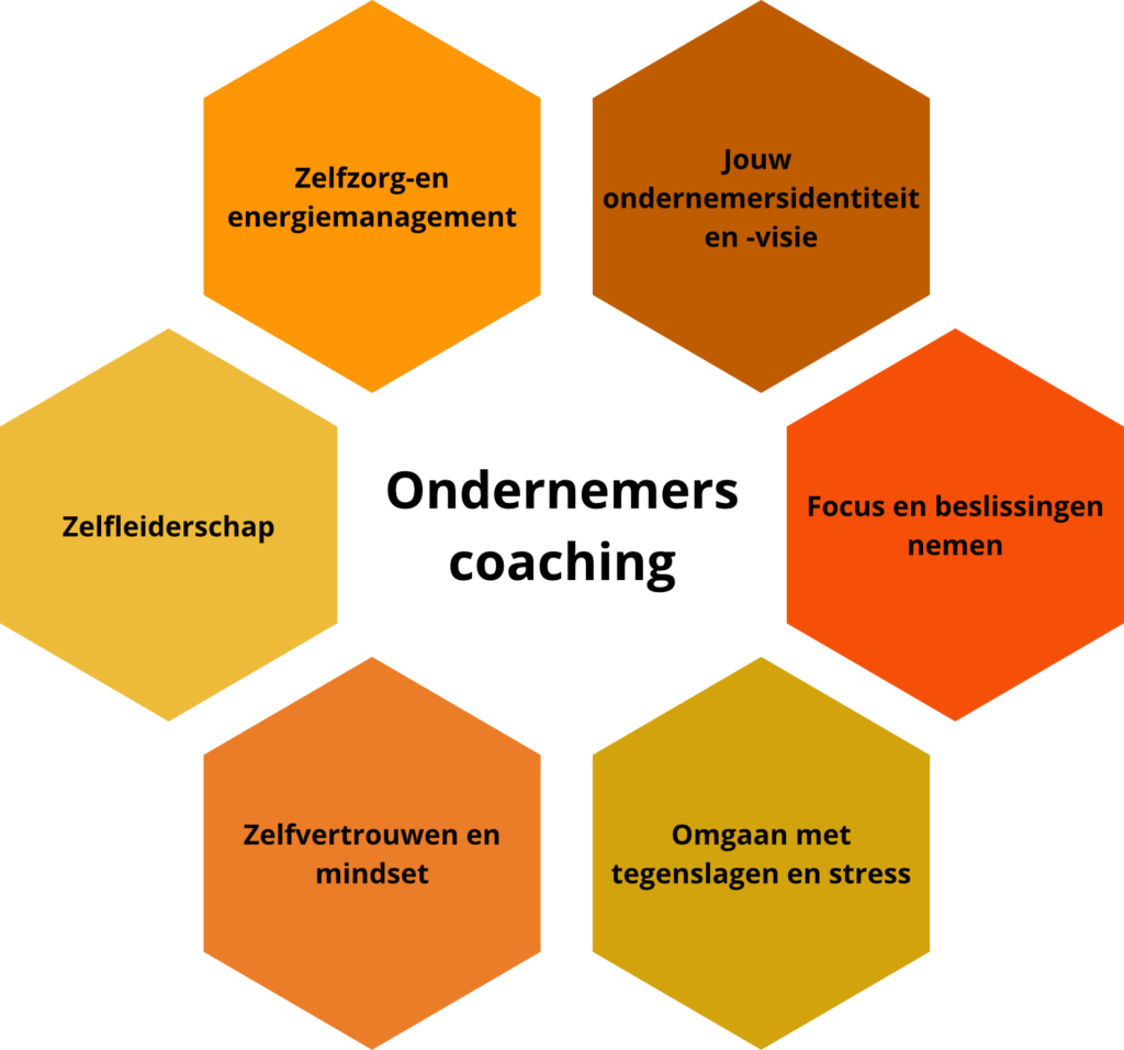 Onderdelen van de ondernemerscoaching, in aparte vakken.